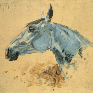 Cheval blanc ''Gazelle''