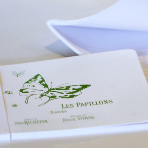 CARNET DESSINS PAPILLONS