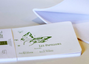 CARNET DESSINS PAPILLONS