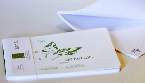 CARNET DESSINS PAPILLONS